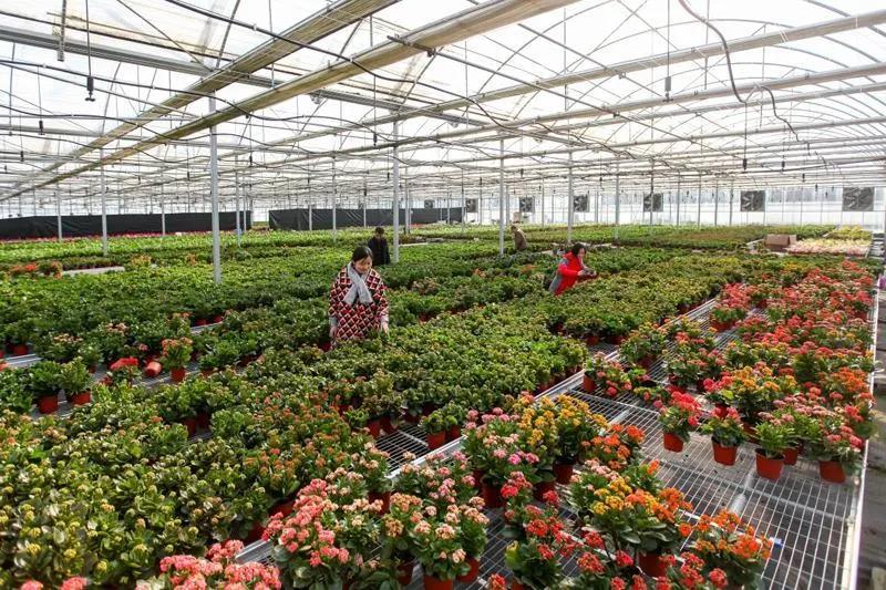 1607052639282945.jpg 微信圖片_20201204112922.jpg